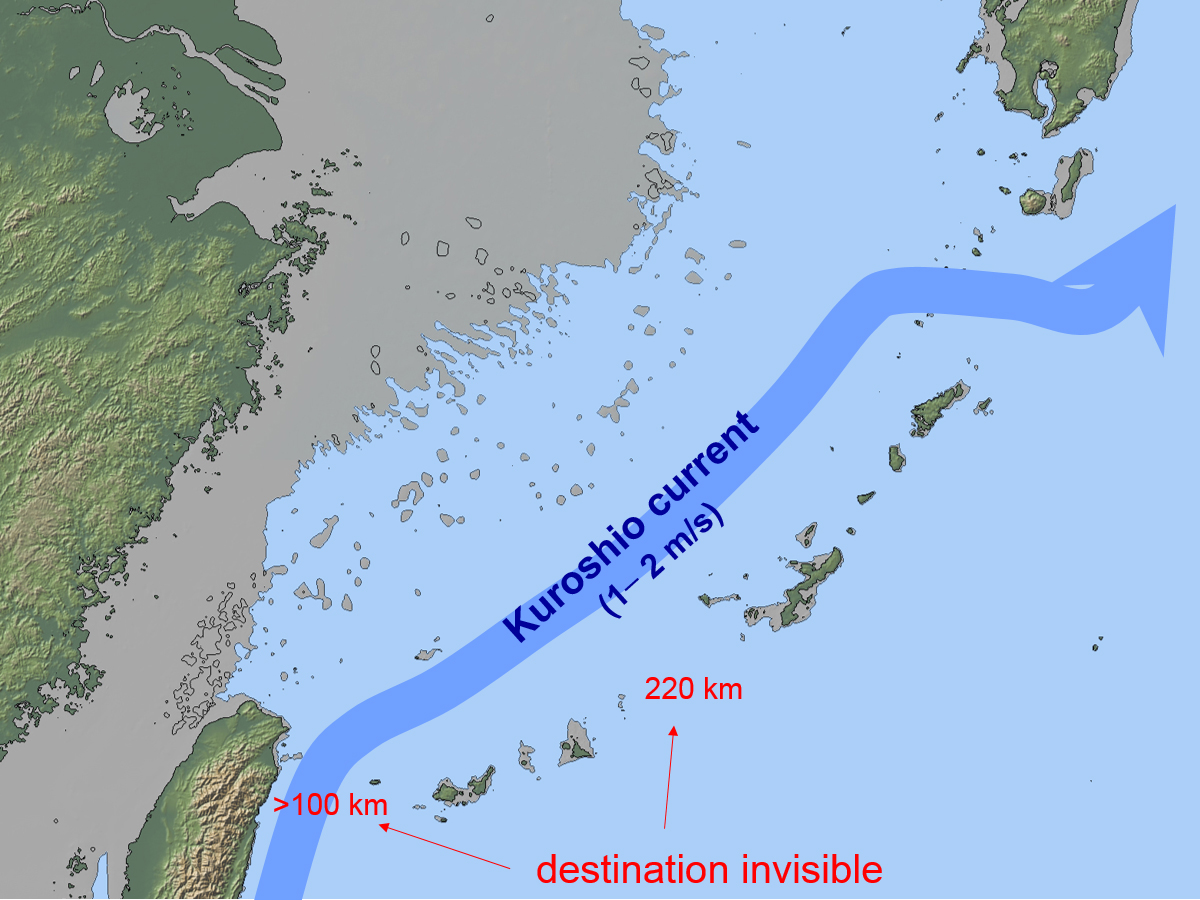 Inferred palaeogeography around the Ryukyu Islands about 35000 years ago. The gray areas were lands due to the sea-level lowering. The course of the present-day Kuroshio is indicated.