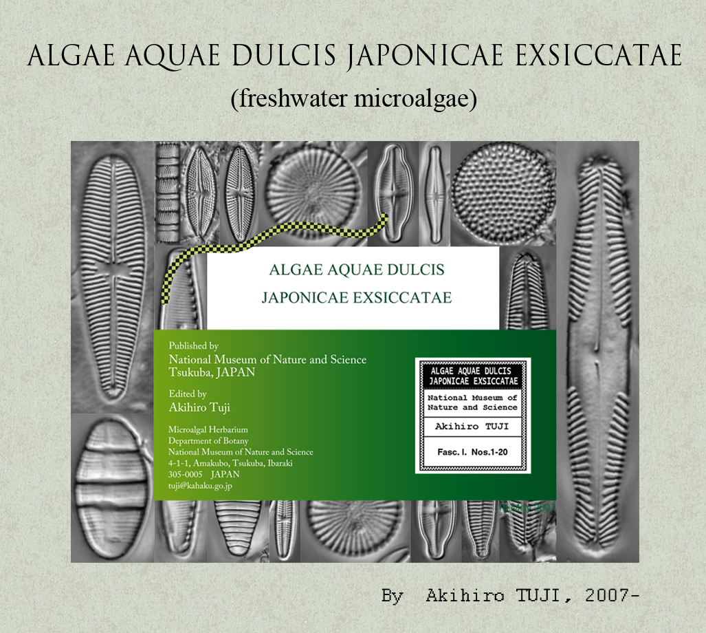 Algae Aquae Dulcis Japonicae Exsiccatae