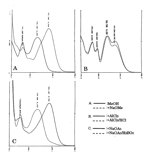 Apigenin 7-O-glucuronideの吸収スペクトル