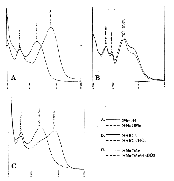 Apigenin 7-O-glucuronideの吸収スペクトル