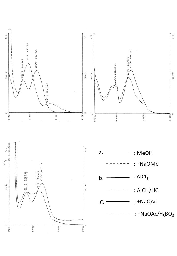 Pectolinarigenin 7-O-rutinosideの吸収スペクトル