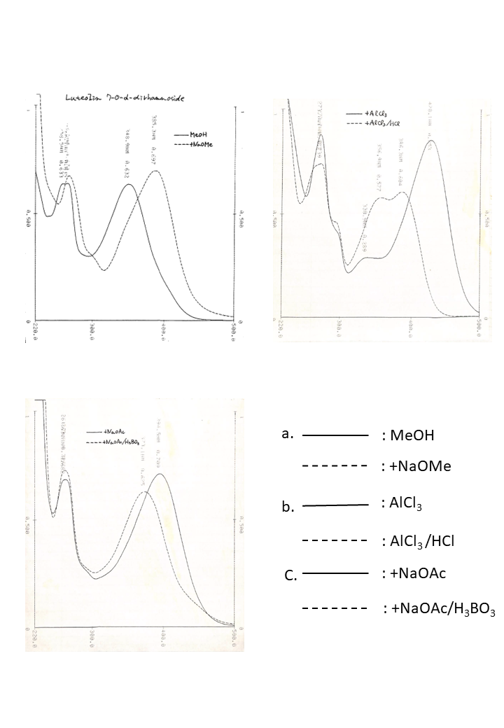 Luteolin 7-O-rhamnosyl-(1→3)-rhamnosideの吸収スペクトル