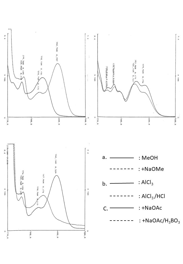 Luteolin 3'-O-glucoside の吸収スペクトル