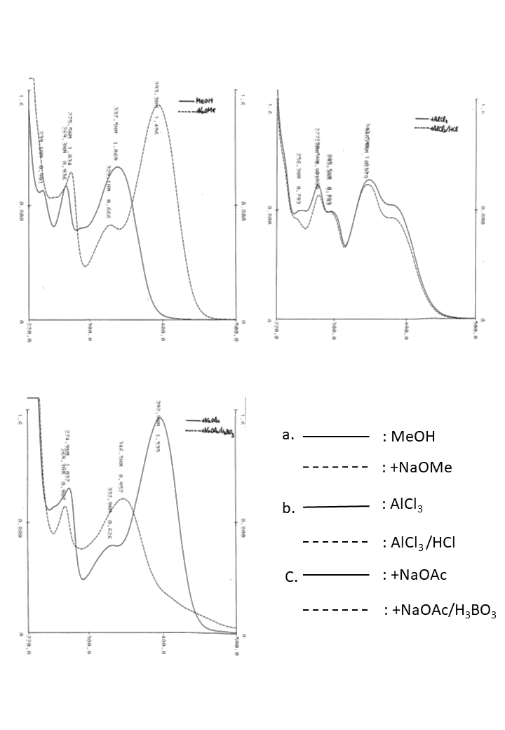 Luteolin 3'-O-glucuronideの吸収スペクトル