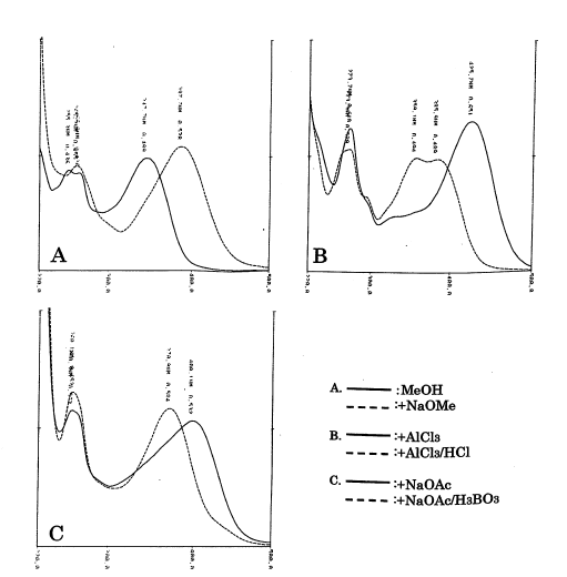 Luteolin 7-O-glucuronideの吸収スペクトル