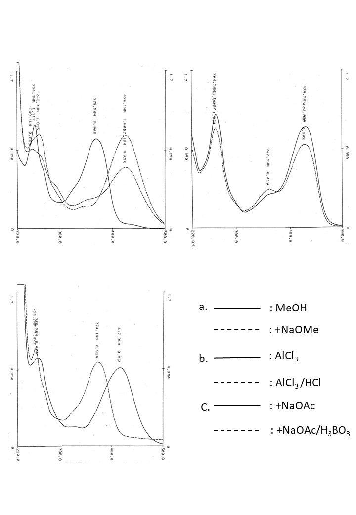 Isorhamnetin 7-O-glucosideの吸収スペクトル