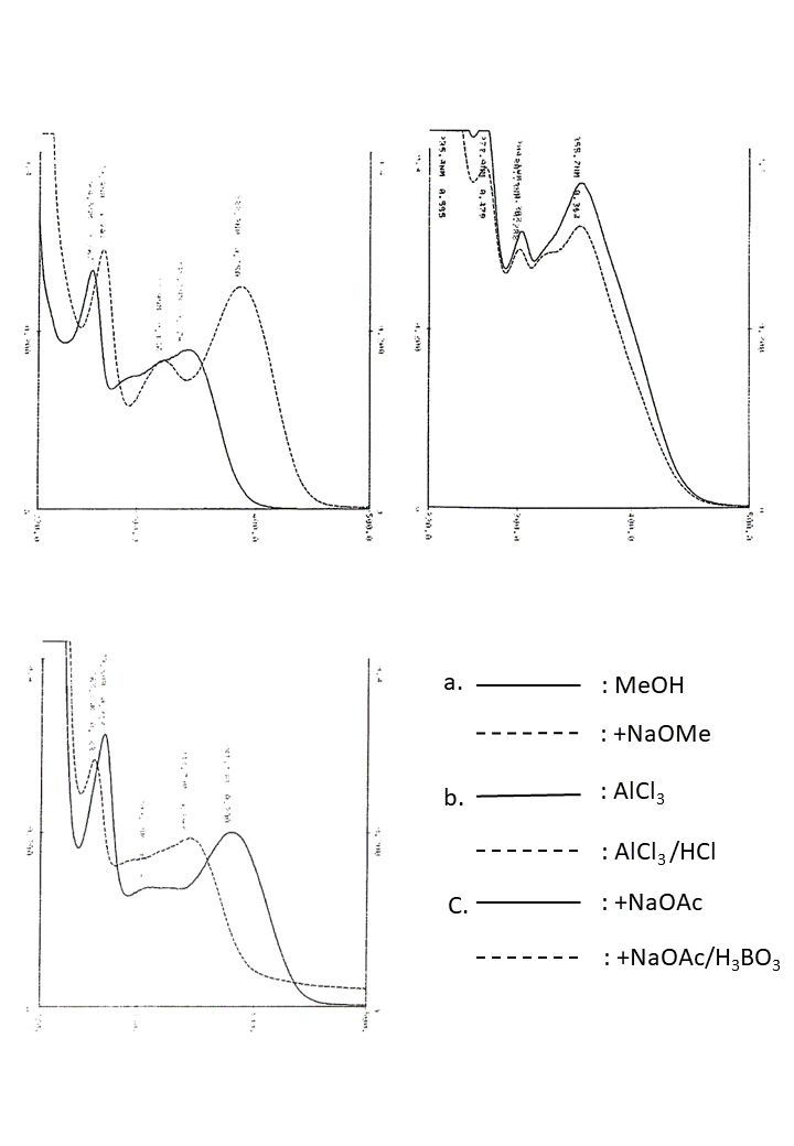 Kaempferol 3-O-glucosyl-(1→2)-rhamnosideの吸収スペクトル
