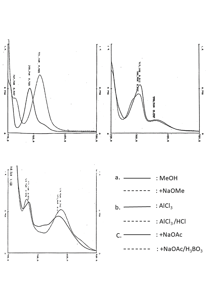 3,5,7,3',4'-pentahydroxyflavoneの吸収スペクトル