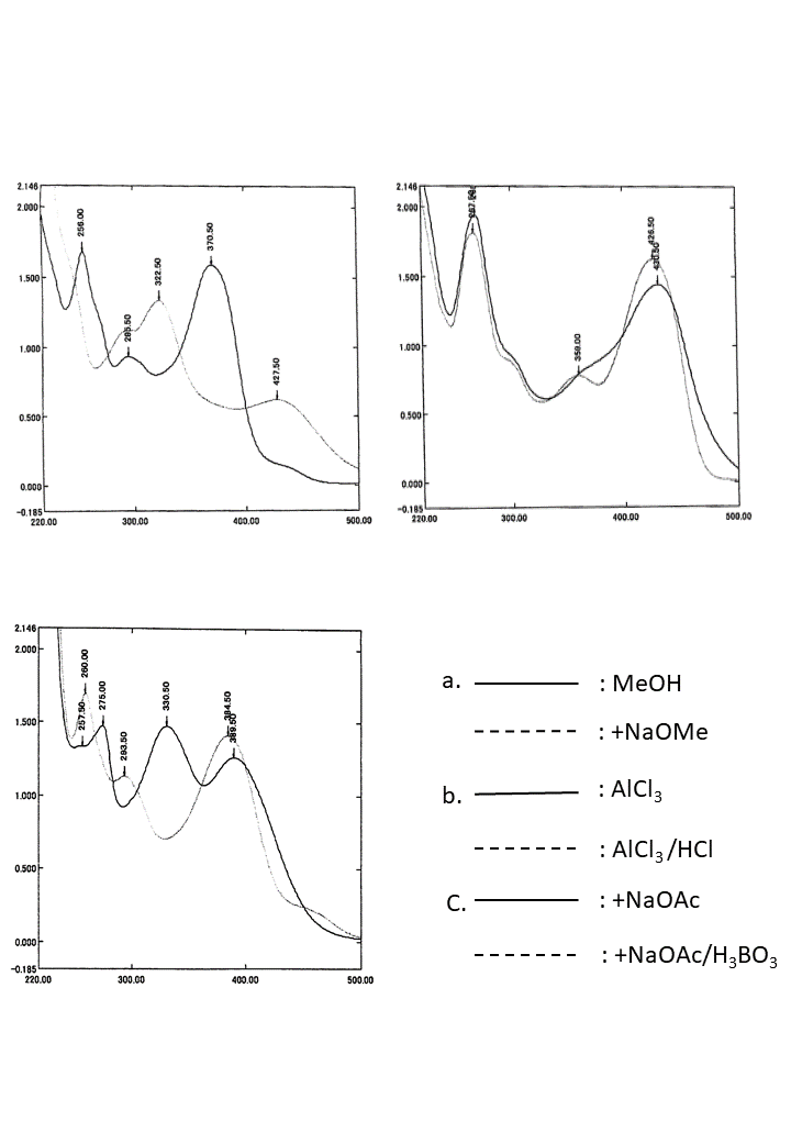 3,5,7,3',4'-Pentahydroxyflavoneの吸収スペクトル