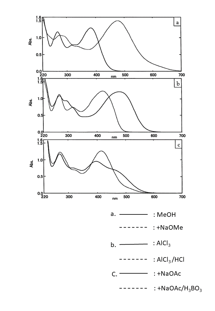 Butein 4'-O-glucosideの吸収スペクトル