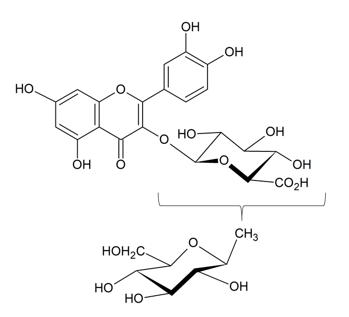 Quercetin 3-glucosylglucuronide
