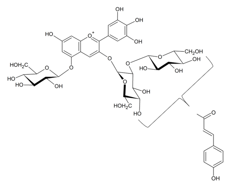 Delphinidin 3-O-p-coumaroylsophoroside-5-O-glucoside
