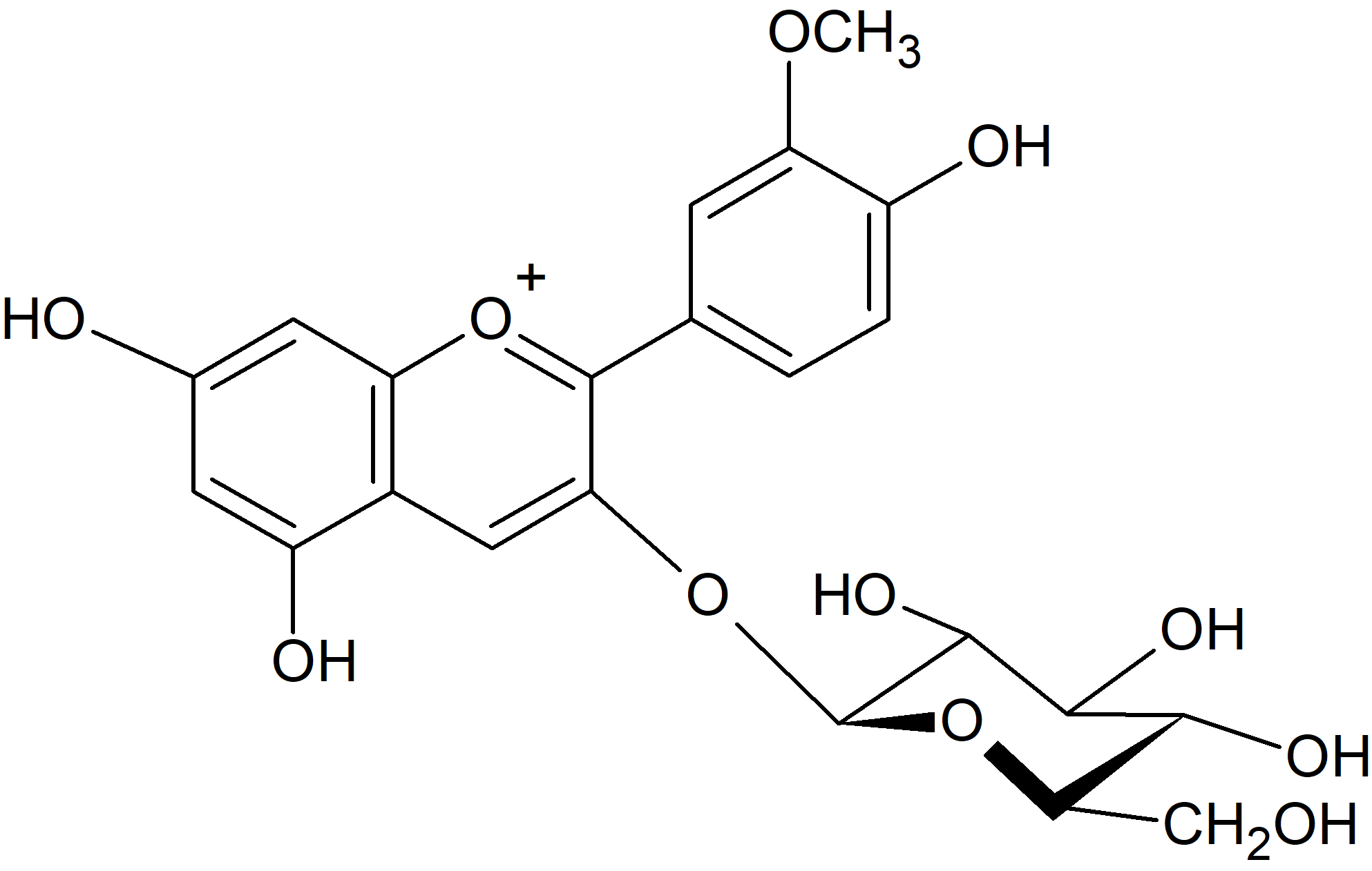 Rhamnetin-3-O-sophoroside