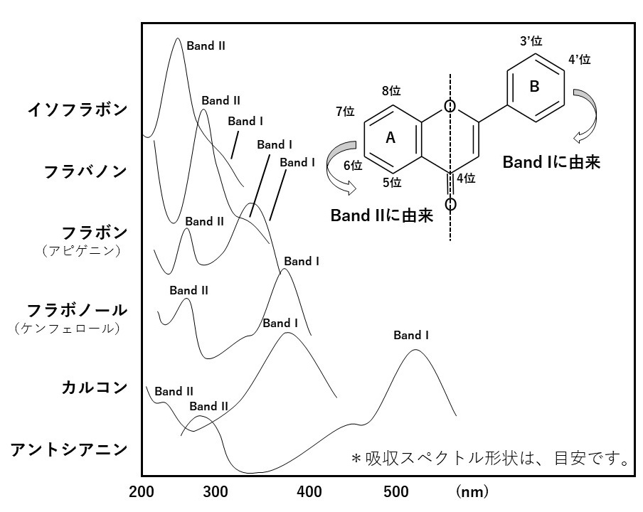 第１図．一般的なフラボノイドの吸収スペクトル特性