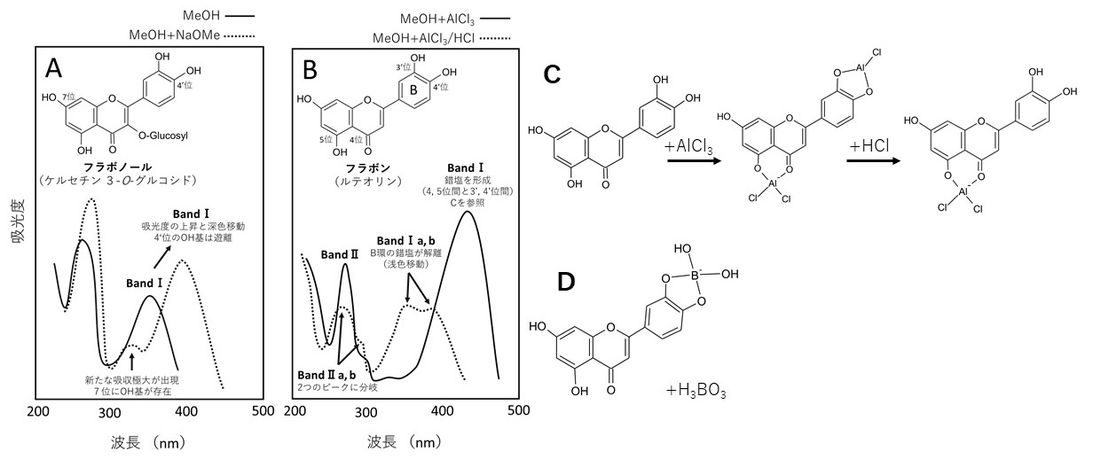 第2図　各種試薬を添加した際の吸収スペクトルと構造の変化