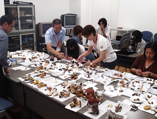 筑波実験植物園きのこ図鑑 - 国立科学博物館 National Museum of 筑波実験植物園きのこ図鑑 - 国立科学博物館 National Museum of