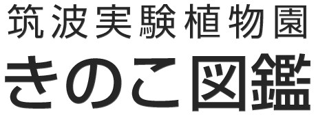 筑波実験植物園きのこ図鑑