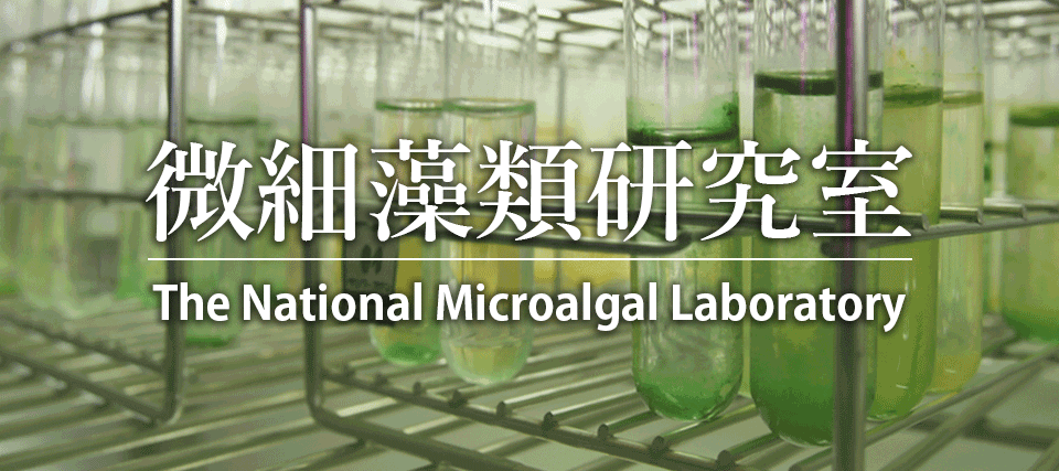 微細藻類研究室