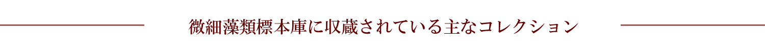 当標本庫に収蔵されている主なコレクション