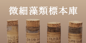 微細藻類標本庫