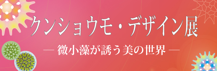 クンショウモ デザイン展