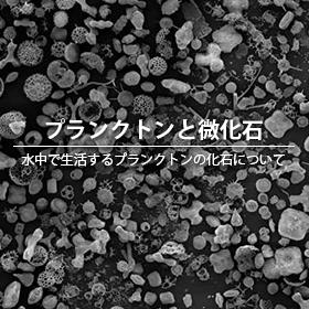 プランクトンと微化石