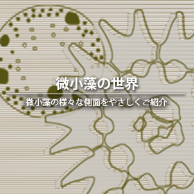 微小藻の世界