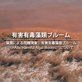 有害有毒藻類ブルーム