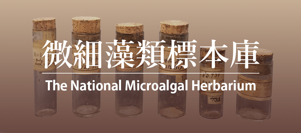 微細藻類標本庫