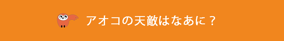 アオコの天敵はなあに？