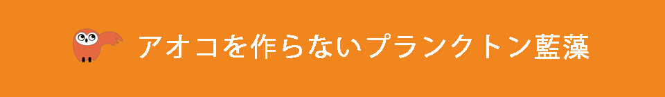アオコを作らないプランクトン藍藻