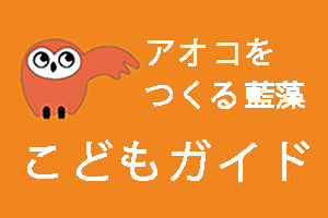 アオコをつくる藍藻 こどもガイド