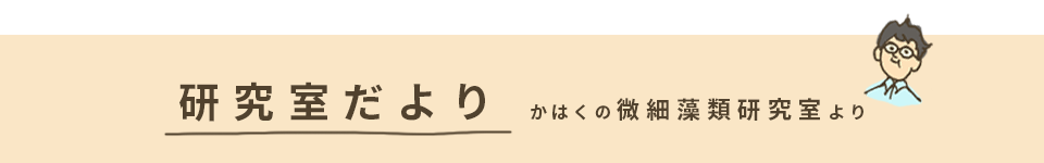 研究室だより