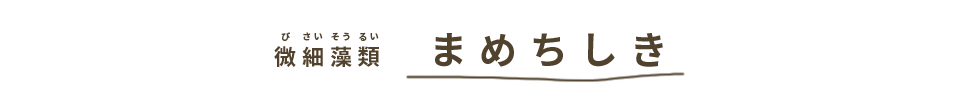 微細藻類まめちしき