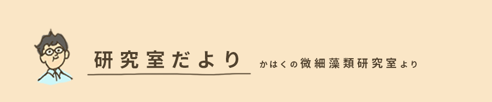 研究室だより