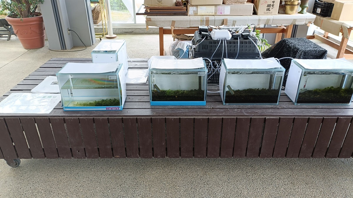 山中湖村の花の都公園温室