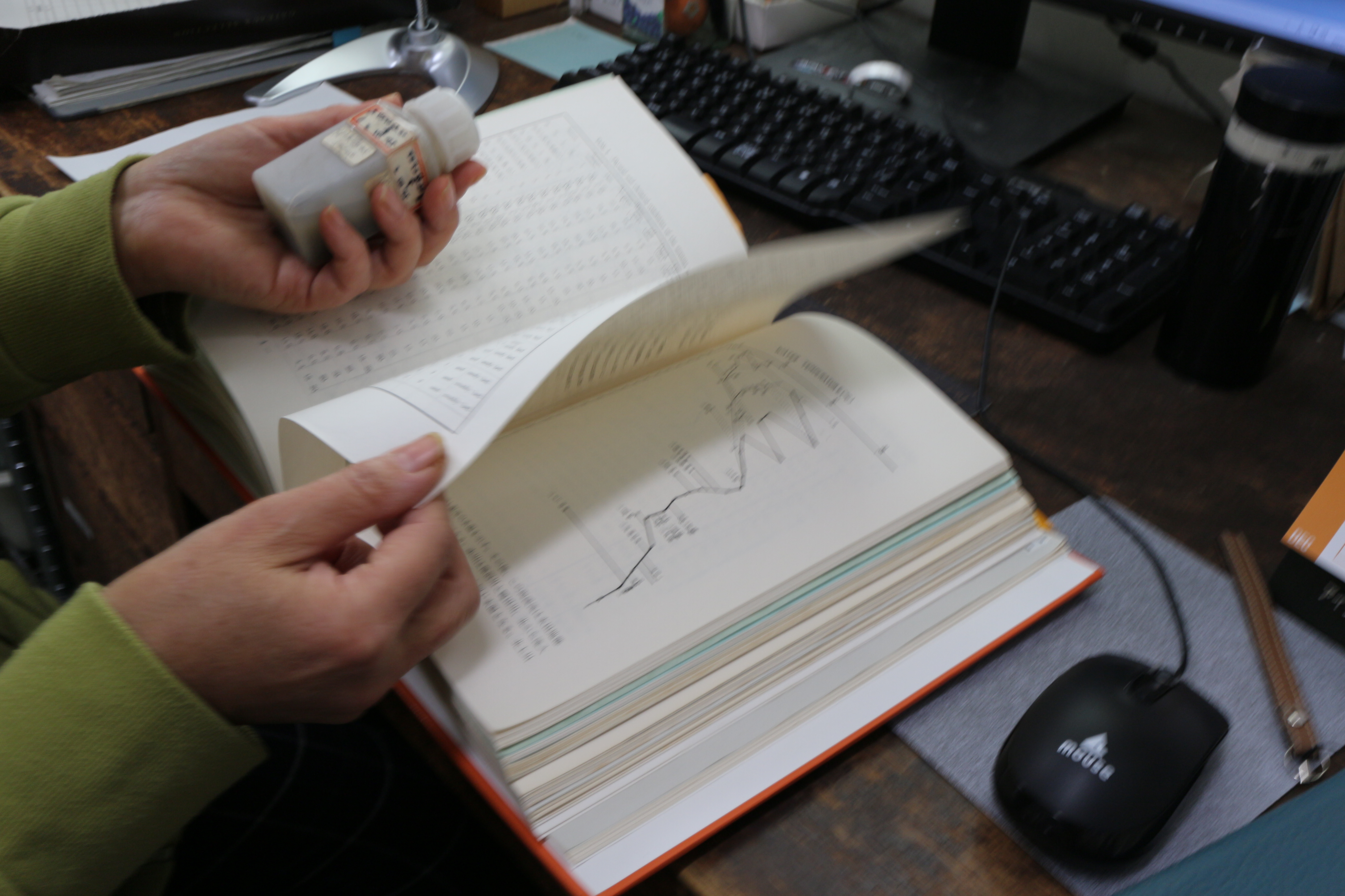 調べている写真