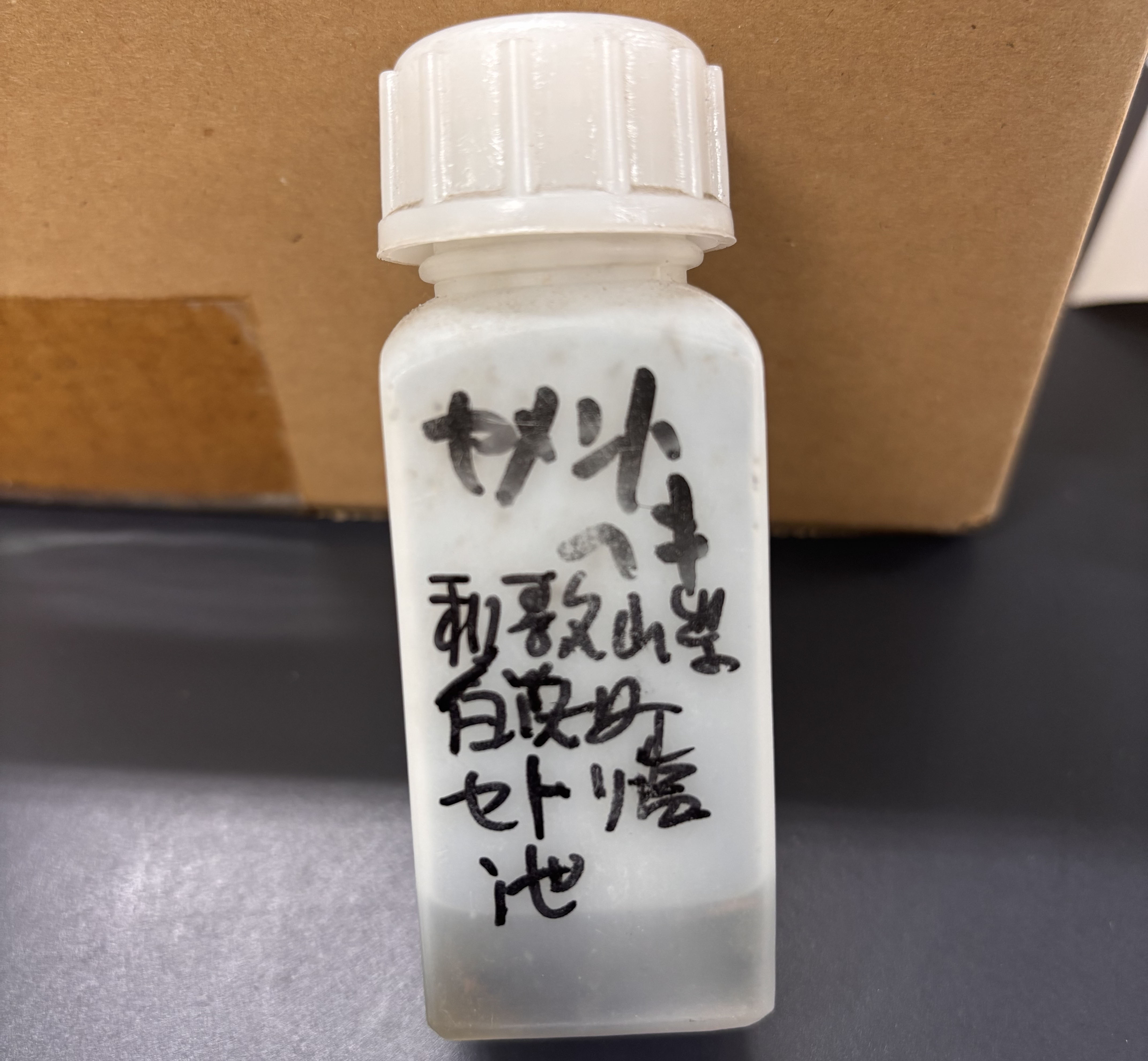 解読が難しい標本の写真