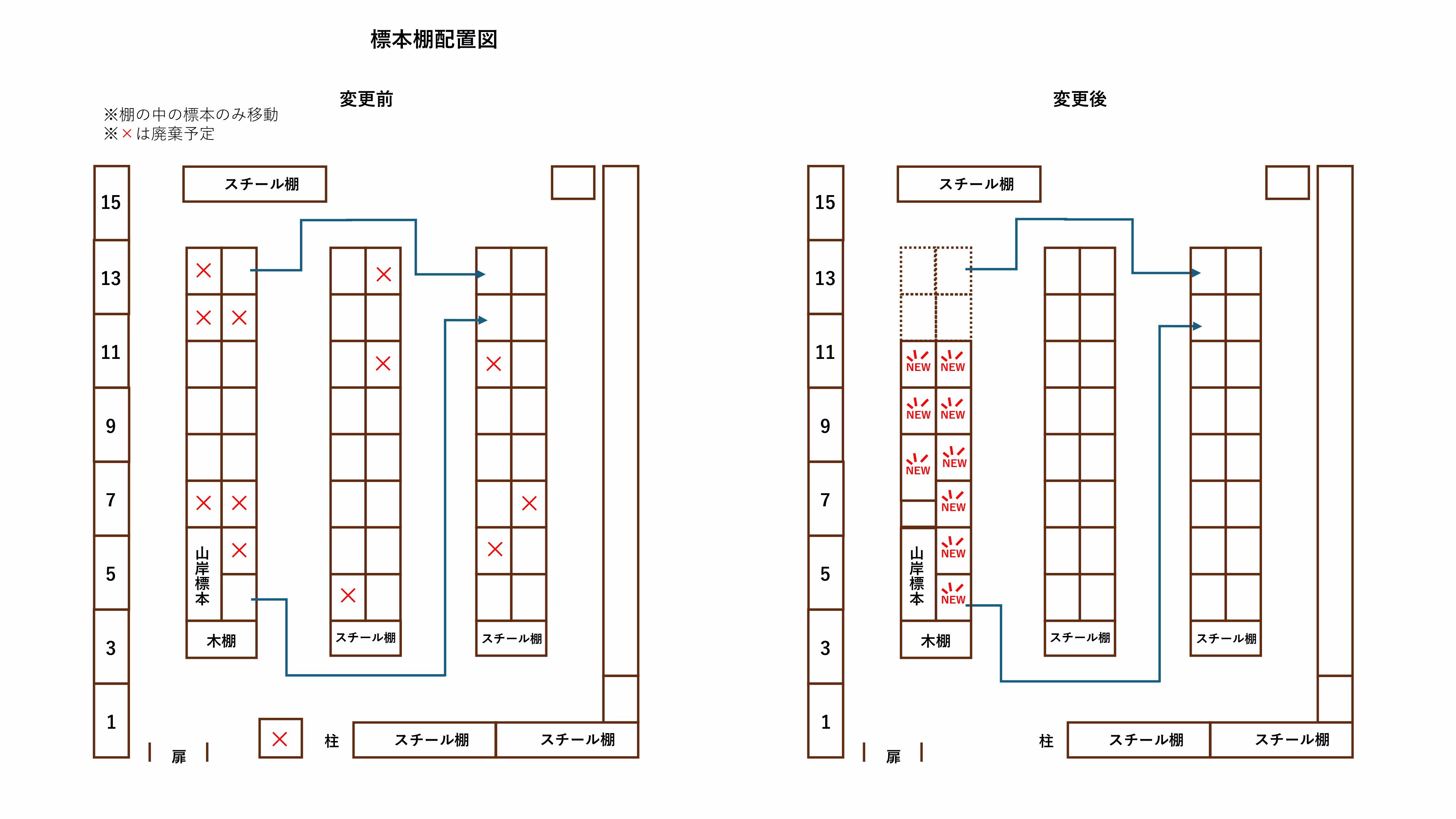 標本棚の配置図