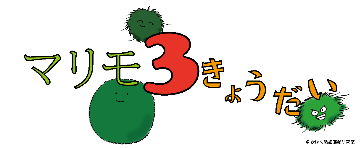 マリモ3きょうだい