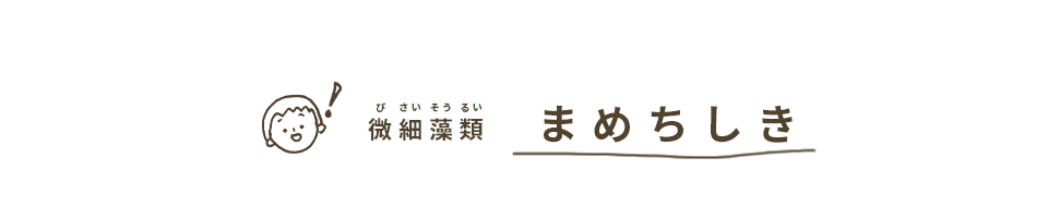 微細藻類まめちしき