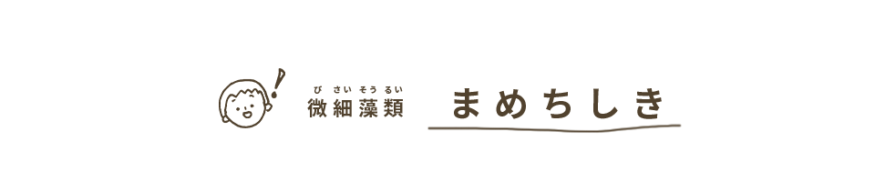 微細藻類まめちしき