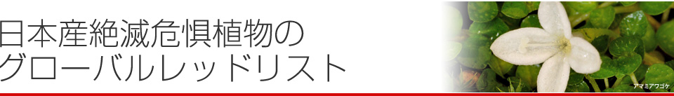 日本産絶滅危惧植物のグローバルレッドリスト