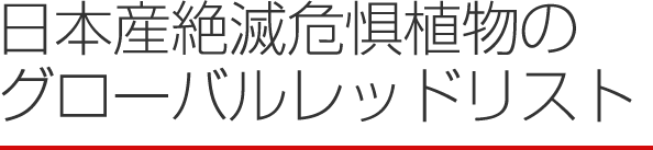 日本産絶滅危惧植物のグローバルレッドリスト