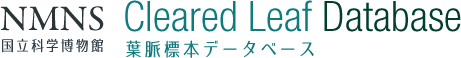 国立科学博物館葉脈標本データベース