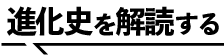 虫食いのある葉化石から進化史を解読する