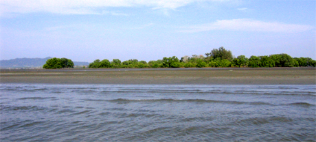 Mud flat at west coast of Libong Island.