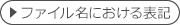 ファイル名における表記