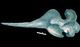 キタトックリクジラ頭骨：左側面