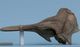 ハナジロカマイルカ頭骨：左側面